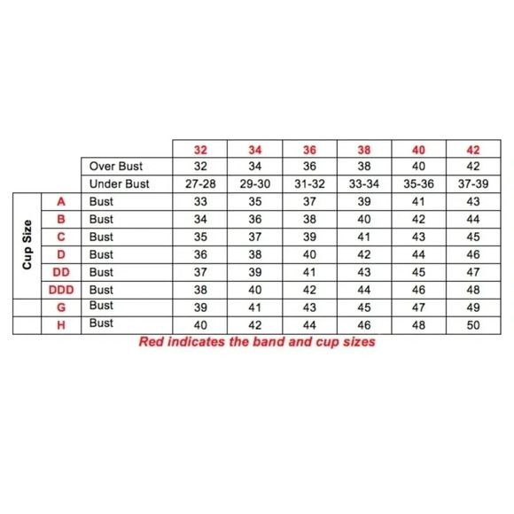 42D Paramour 115027 Lou Lou Lace Unlined UW‎ Bra Black - Picture 10 of 11